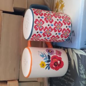 Pioneer Woman salt & pepper shakers